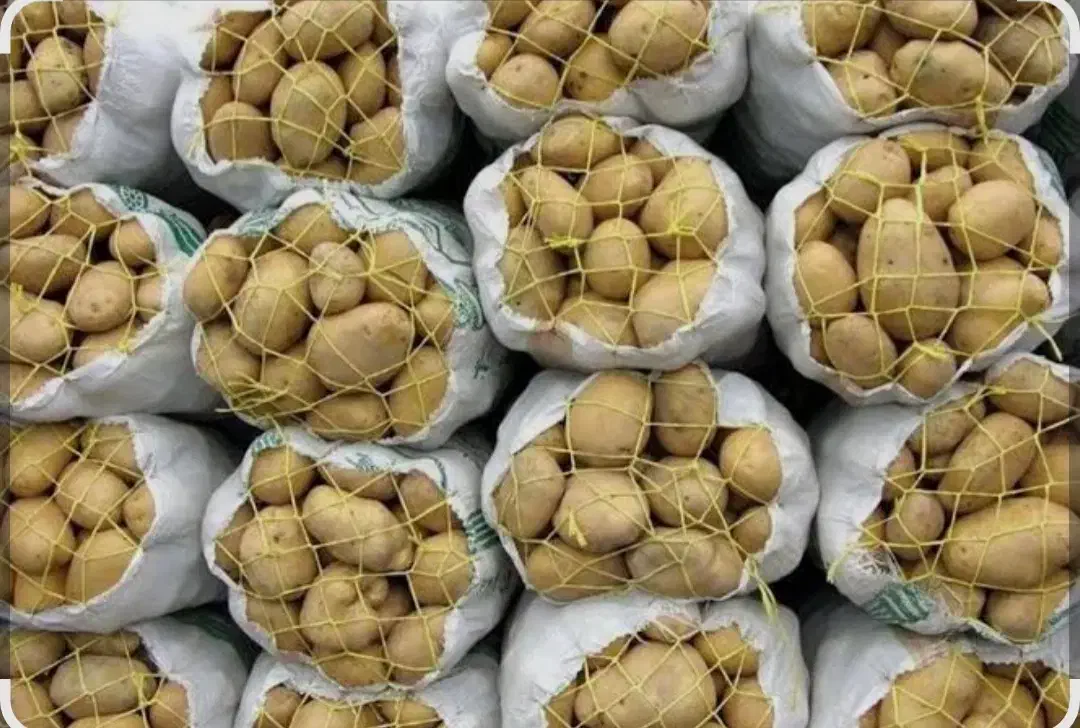 سیب زمینی فقط کیلویی ۲۹|عمده‌فروشی|محلات, |دیوار