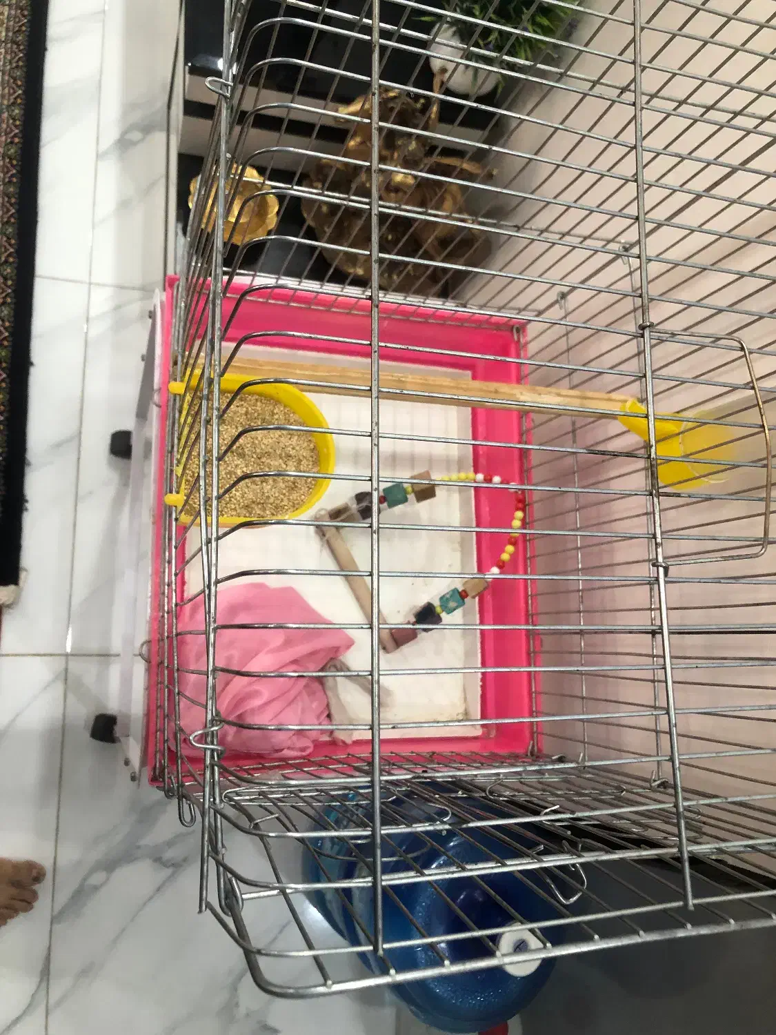 قفس عروس هلندی|لوازم جانبی حیوانات|تهران, خاک سفید|دیوار