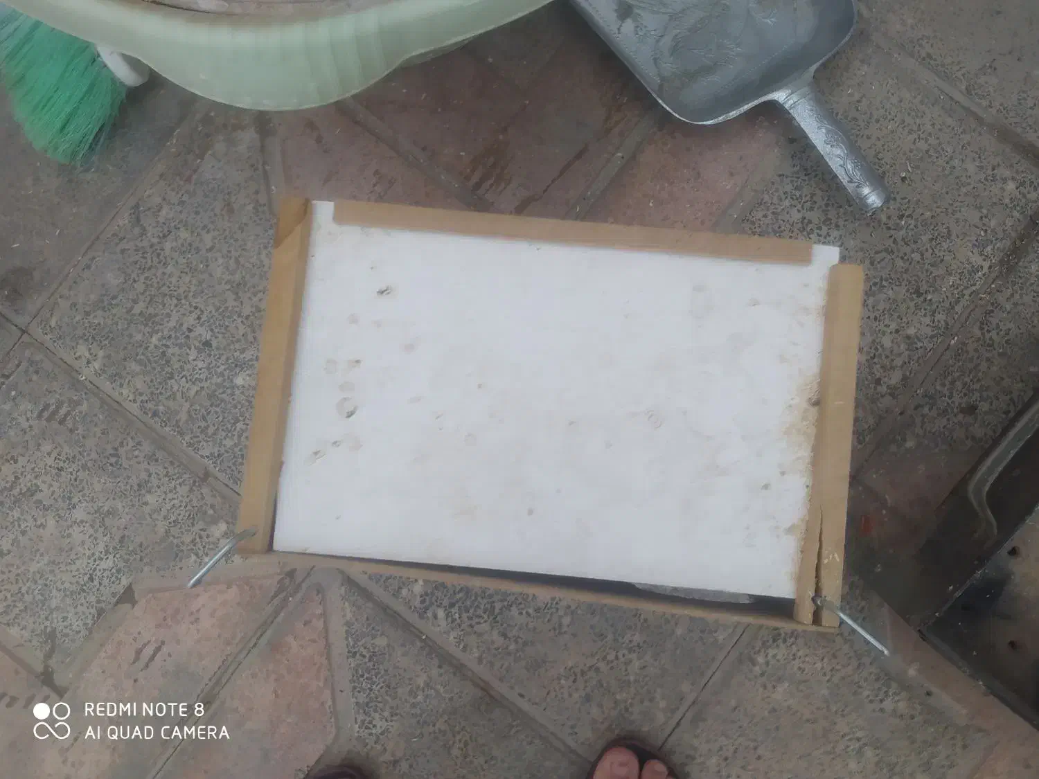 لانه پرنده|لوازم جانبی حیوانات|یزد, |دیوار