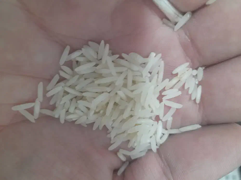 برنج پاکستانی رویال باسماتی|خوردنی و آشامیدنی|سنندج, |دیوار