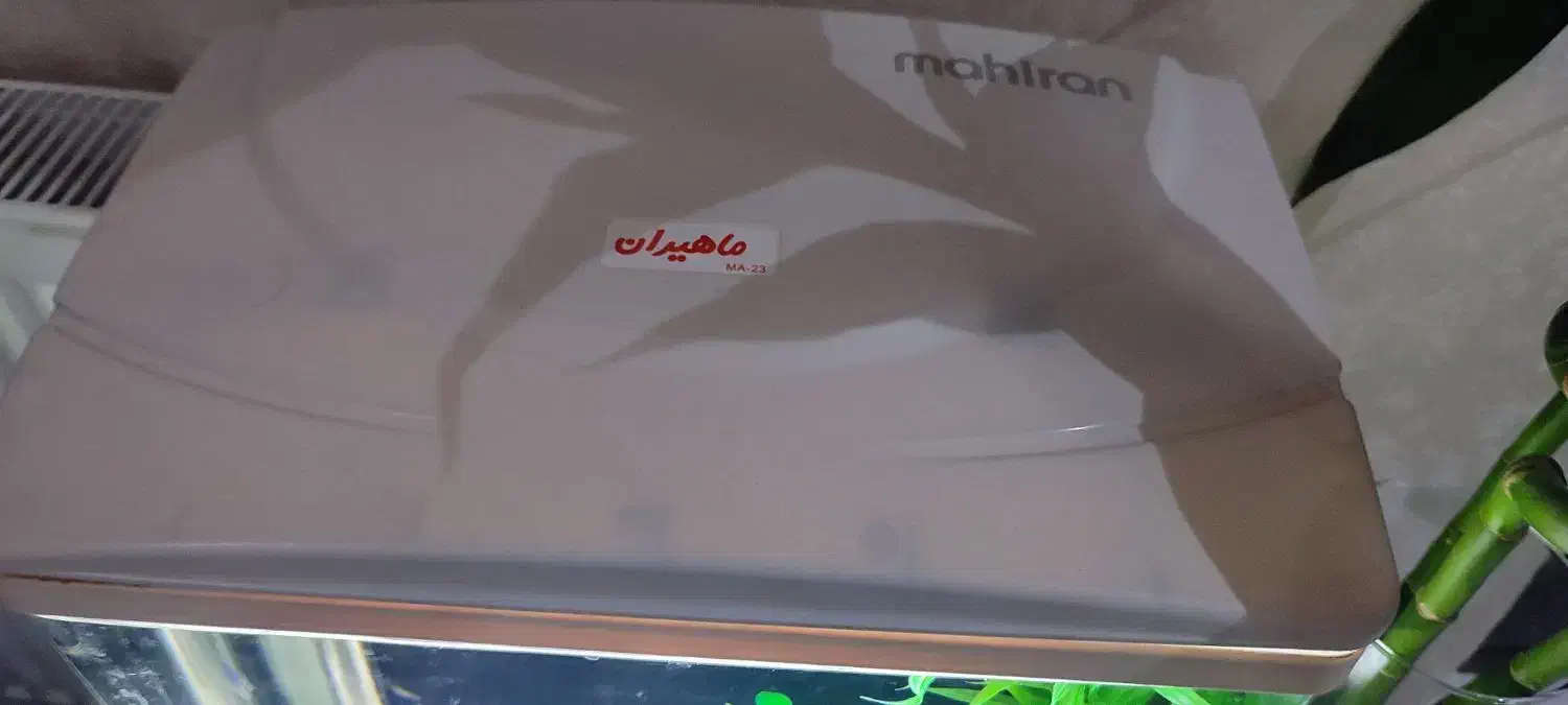 آکواریوم ماهیران|ماهی|رشت, ساغری سازان|دیوار