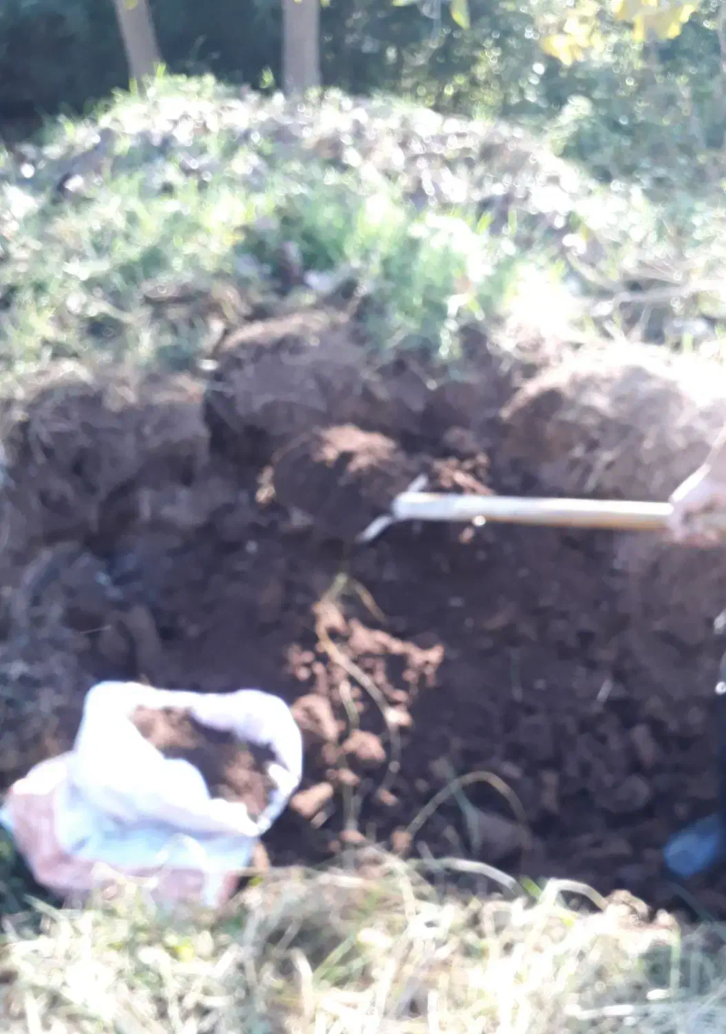 کود حیوانی باغ و گلخانه|حراج|سنگر, |دیوار