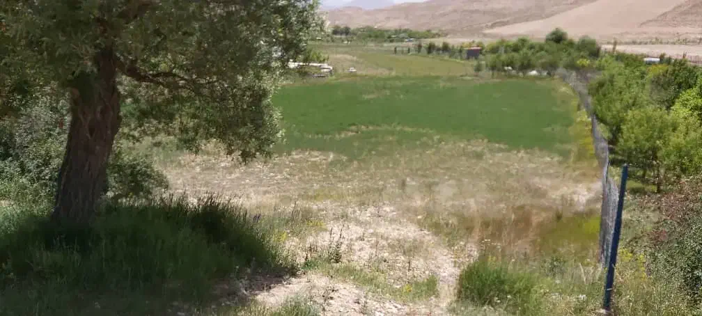 زمین کشاورزی به مساحت 2511 متر با سند تک برگی|فروش زمین و ملک کلنگی|فیروزکوه, |دیوار