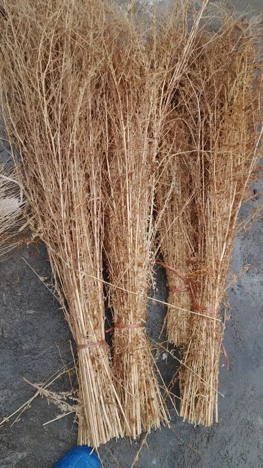 جارو|لوازم نظافت|نهاوند, |دیوار