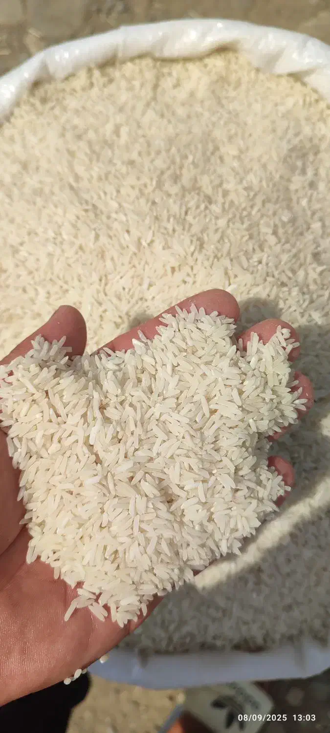 برنج هاشمی دره رود اصل به شرط|خوردنی و آشامیدنی|پارسآباد, |دیوار