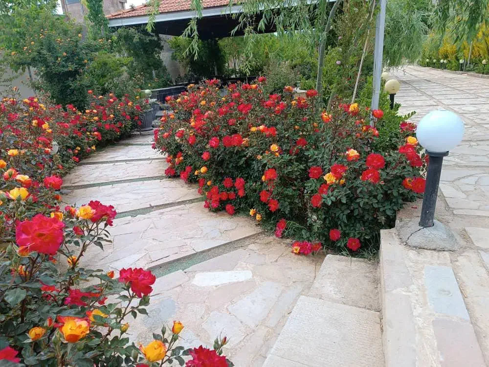 اجاره باغ ویلا مناسب تولد،عقد،تولد و مراسمات|اجارهٔ کوتاه‌مدت ویلا و باغ|شیراز, گویم|دیوار