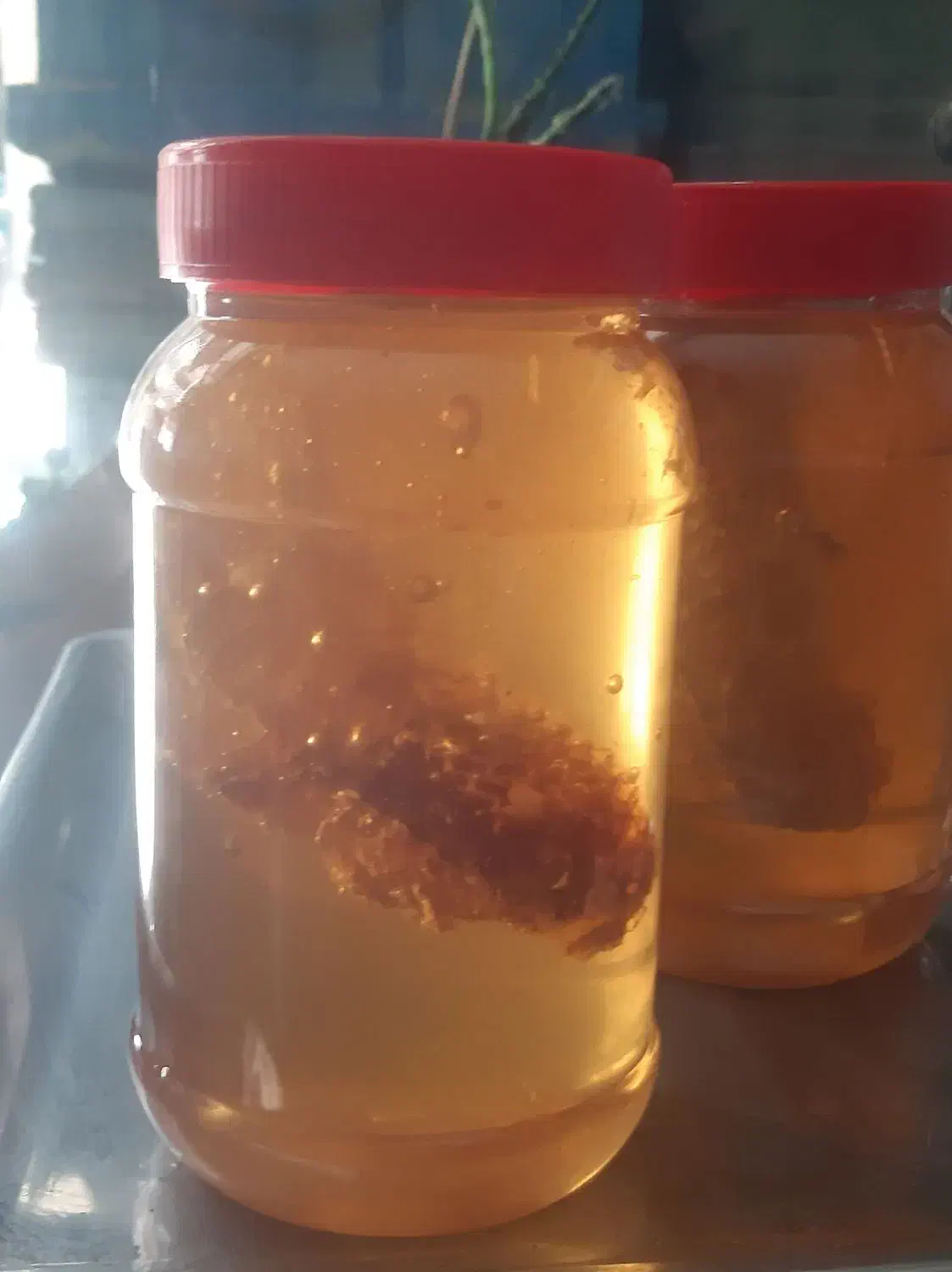 عسل کلی جزئی|خوردنی و آشامیدنی|مشهد, گلبرگ شمالی|دیوار