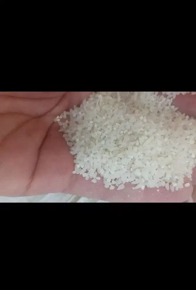 برنج نیم دانه هاشمی (عطری)|خوردنی و آشامیدنی|زنجان, |دیوار