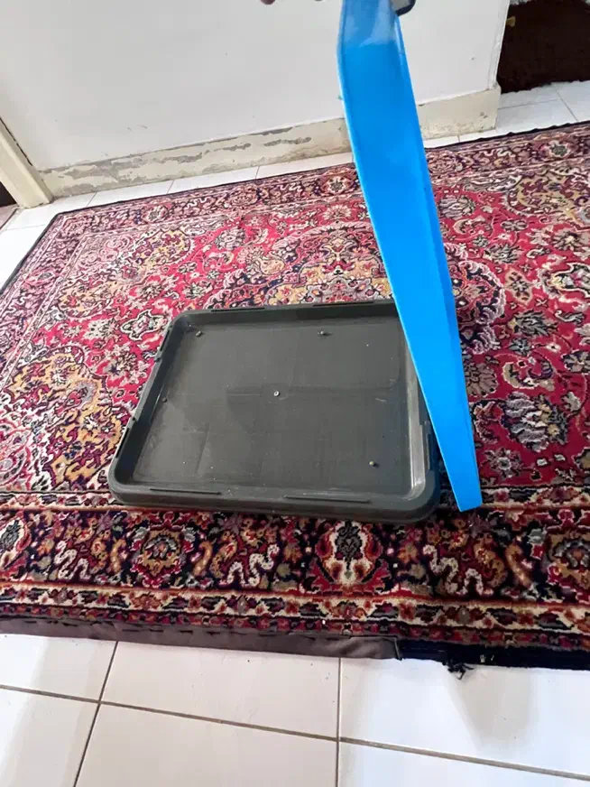 پد ، سبد ادرار سگ و گربه|لوازم جانبی حیوانات|شاهین‌شهر, مخابرات (شهید بهشتی)|دیوار