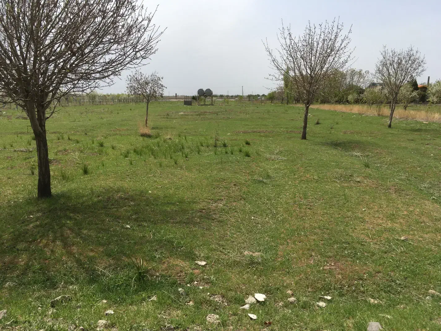 زمین|فروش زمین و ملک کلنگی|قزوین, |دیوار