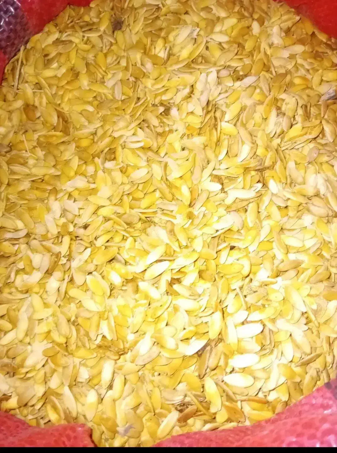 تخمه خربزه|خوردنی و آشامیدنی|قائن, |دیوار