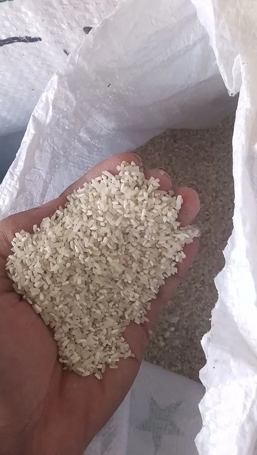 فجر سوزنی شمال|خوردنی و آشامیدنی|گرگان, |دیوار