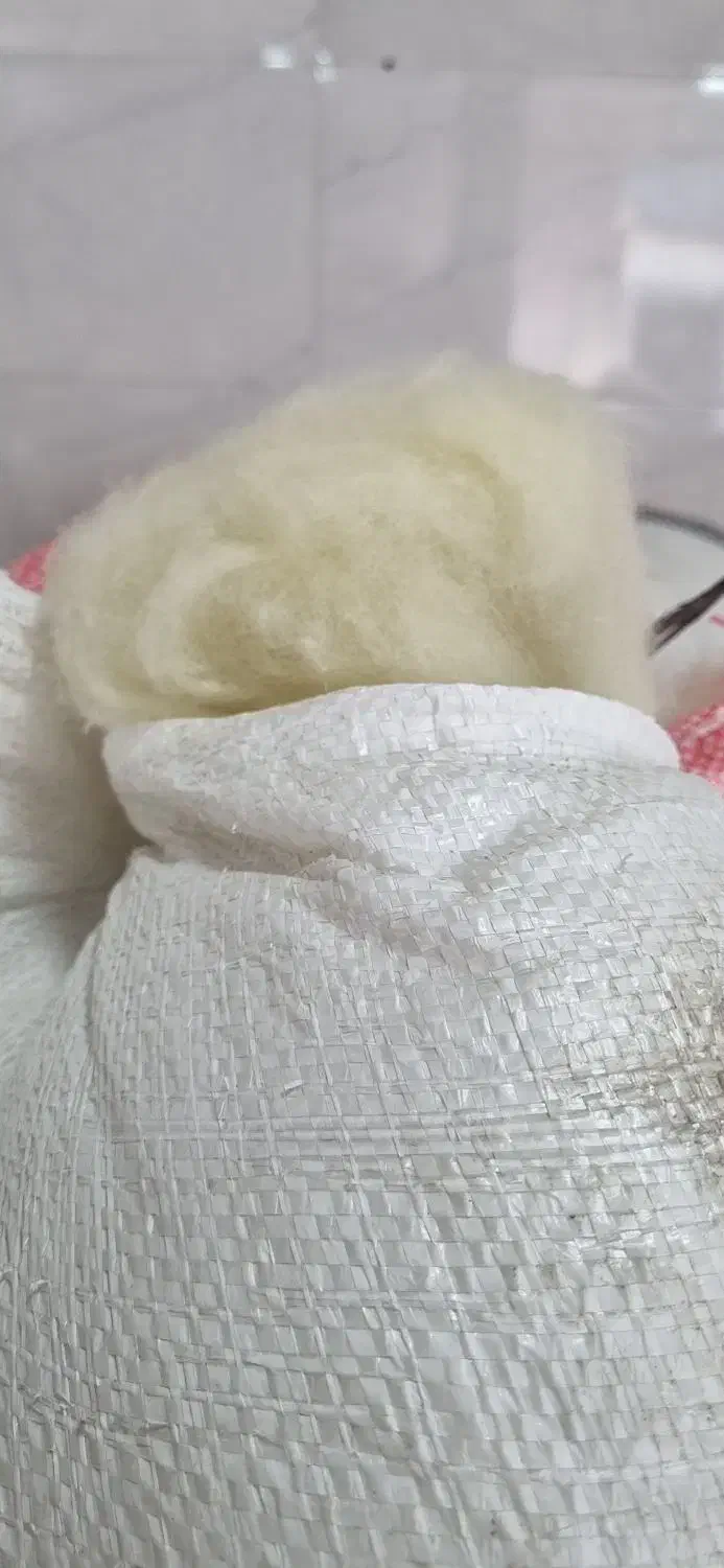 خانه|سفره، حوله، دستمال آشپزخانه|کرج, اسدآباد|دیوار