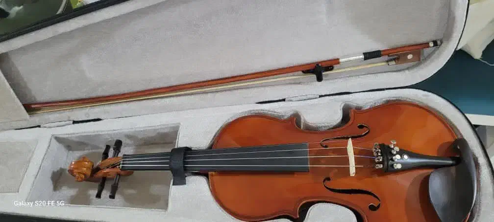 ویالون|ویولن|بجنورد, |دیوار