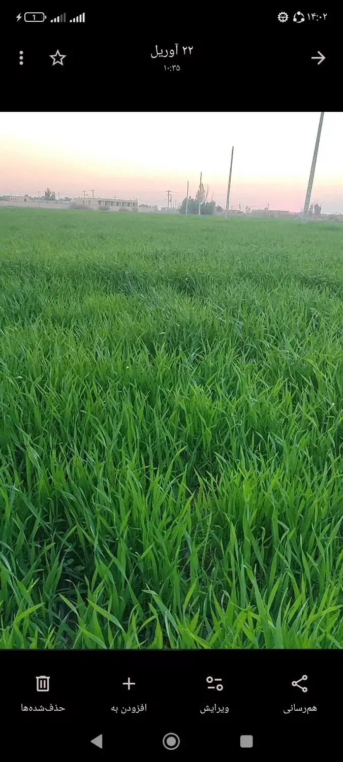 اجاره زمین کشاورزی،زهکلوت|اجارهٔ دفتر صنعتی، کشاورزی، تجاری|جازموریان, |دیوار