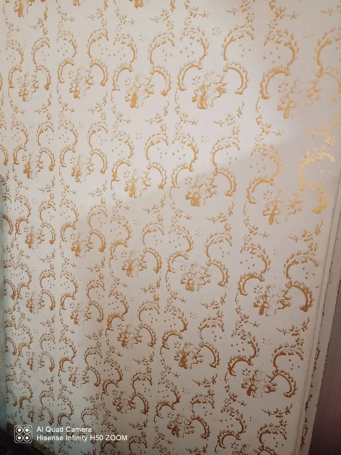 درب اطاق تلویزیون. فریز قفس پرنده جاروبرقی|جاروبرقی، جارو شارژی، بخارشو|اهواز, رسالت|دیوار