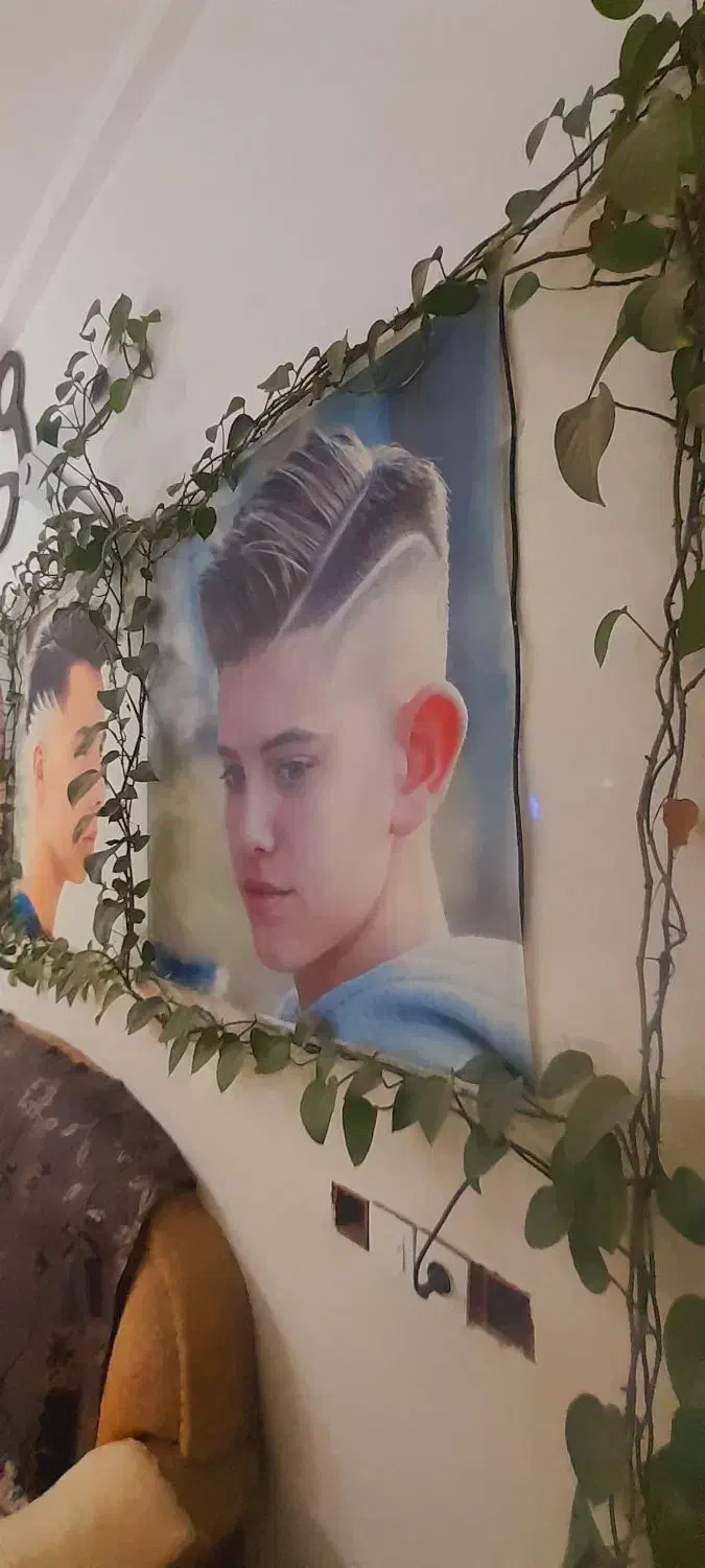 گل پتوس بزرگ|گل و گیاه طبیعی|رامیان, |دیوار