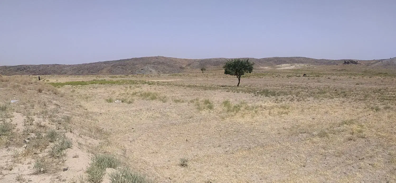 ۱۳۰هکتار زمین کشاورزی|فروش دفتر صنعتی، کشاورزی، تجاری|جلگه رخ, |دیوار