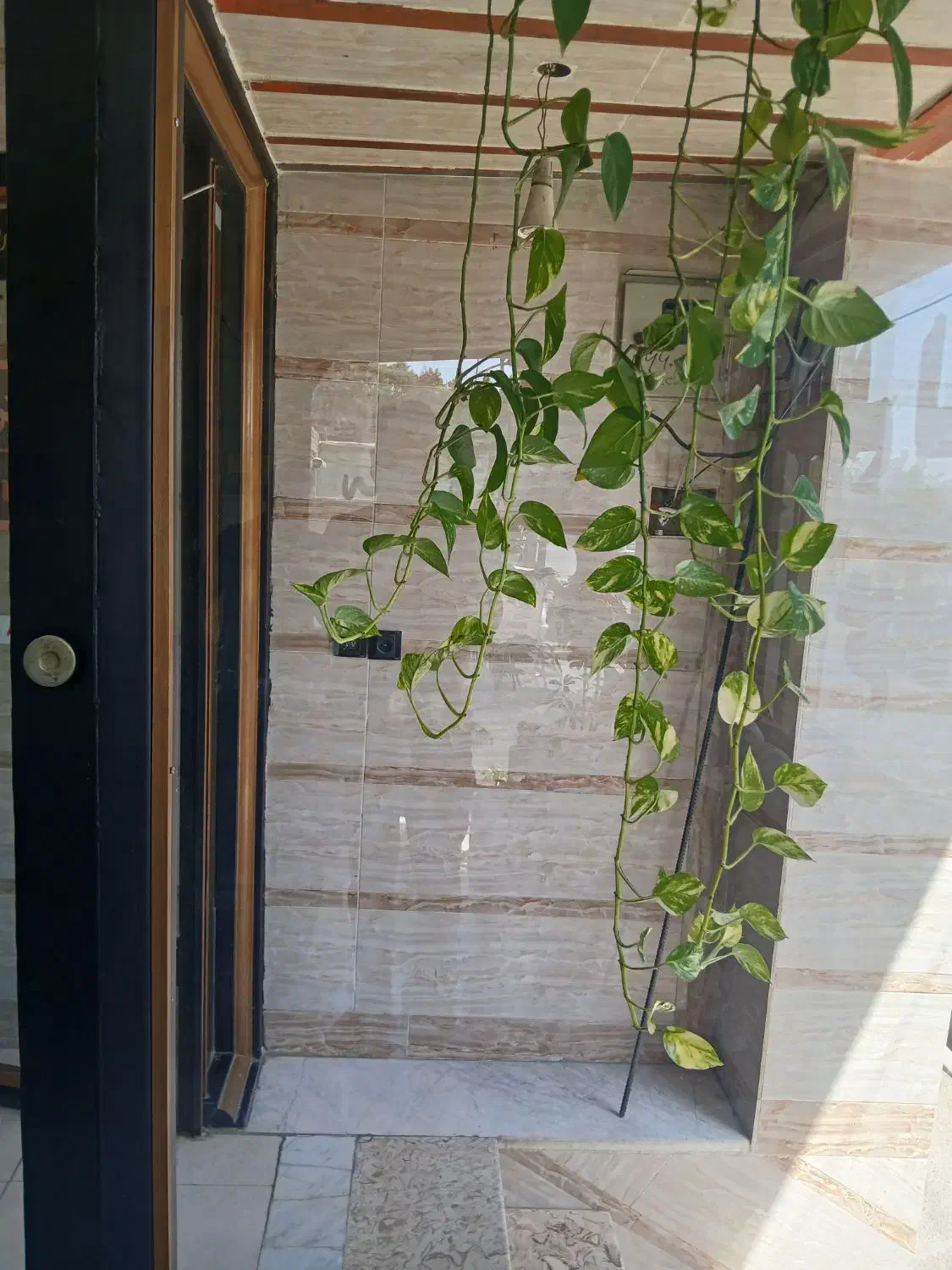 شیشه بری رشیدی|خدمات پیشه و مهارت|رباطکریم, رباطکریم|دیوار