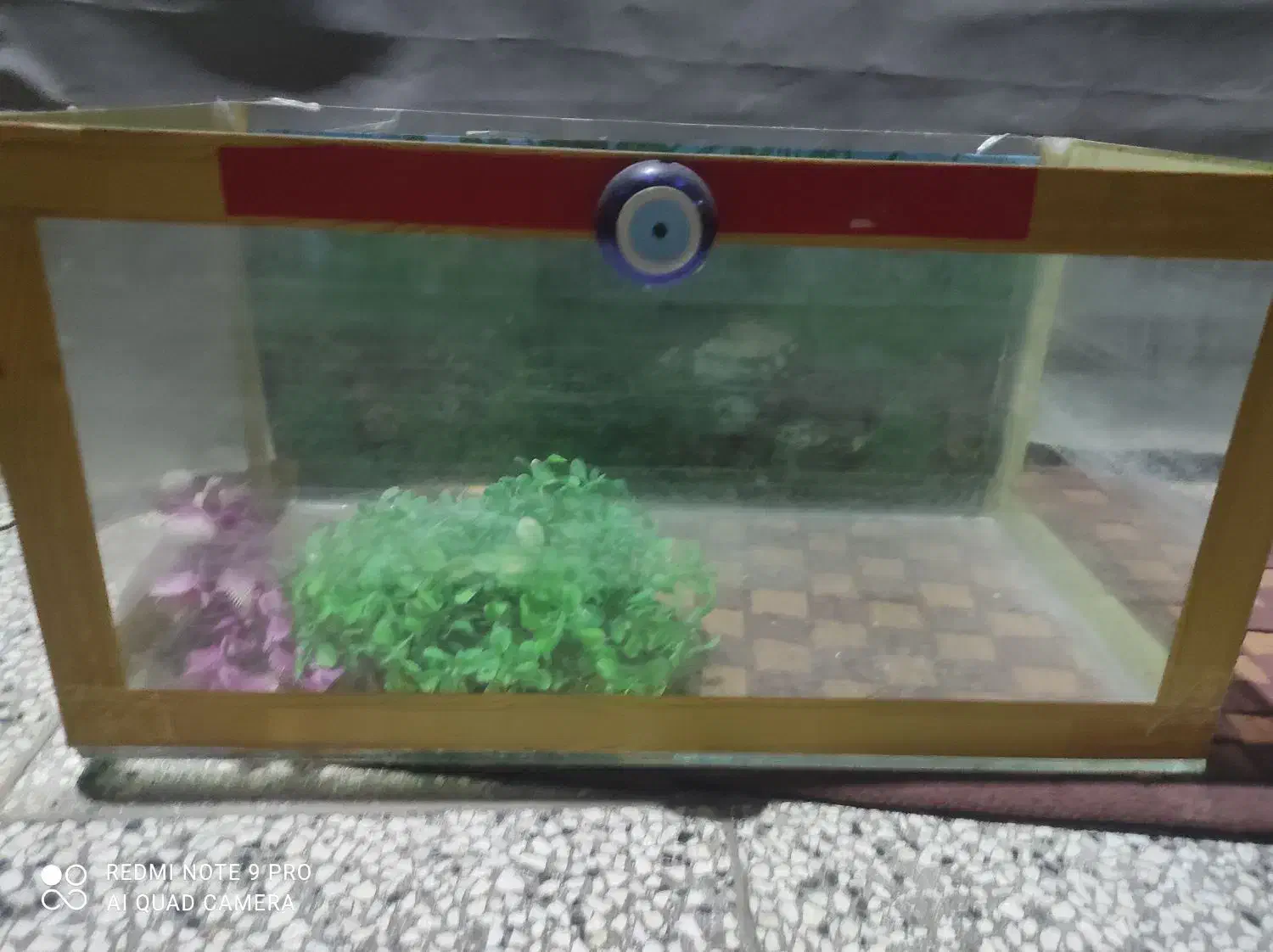 آکواریوم|ماهی|تربت‌حیدریه, بالا ولایت|دیوار