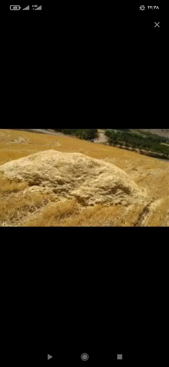 کاه دیم|لوازم جانبی حیوانات|سرپل ذهاب, |دیوار