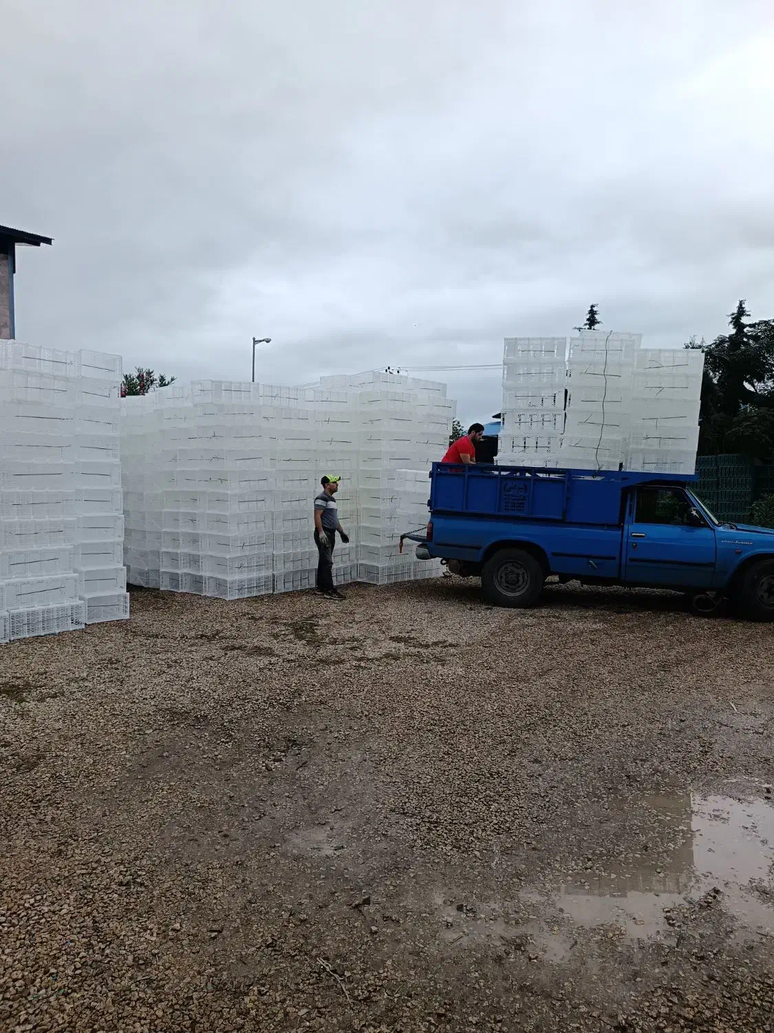 استخدام نیرو در شرکت مهرزاد پلاست  ( کشلی)|استخدام صنعتی، فنی، مهندسی|لیسار, |دیوار