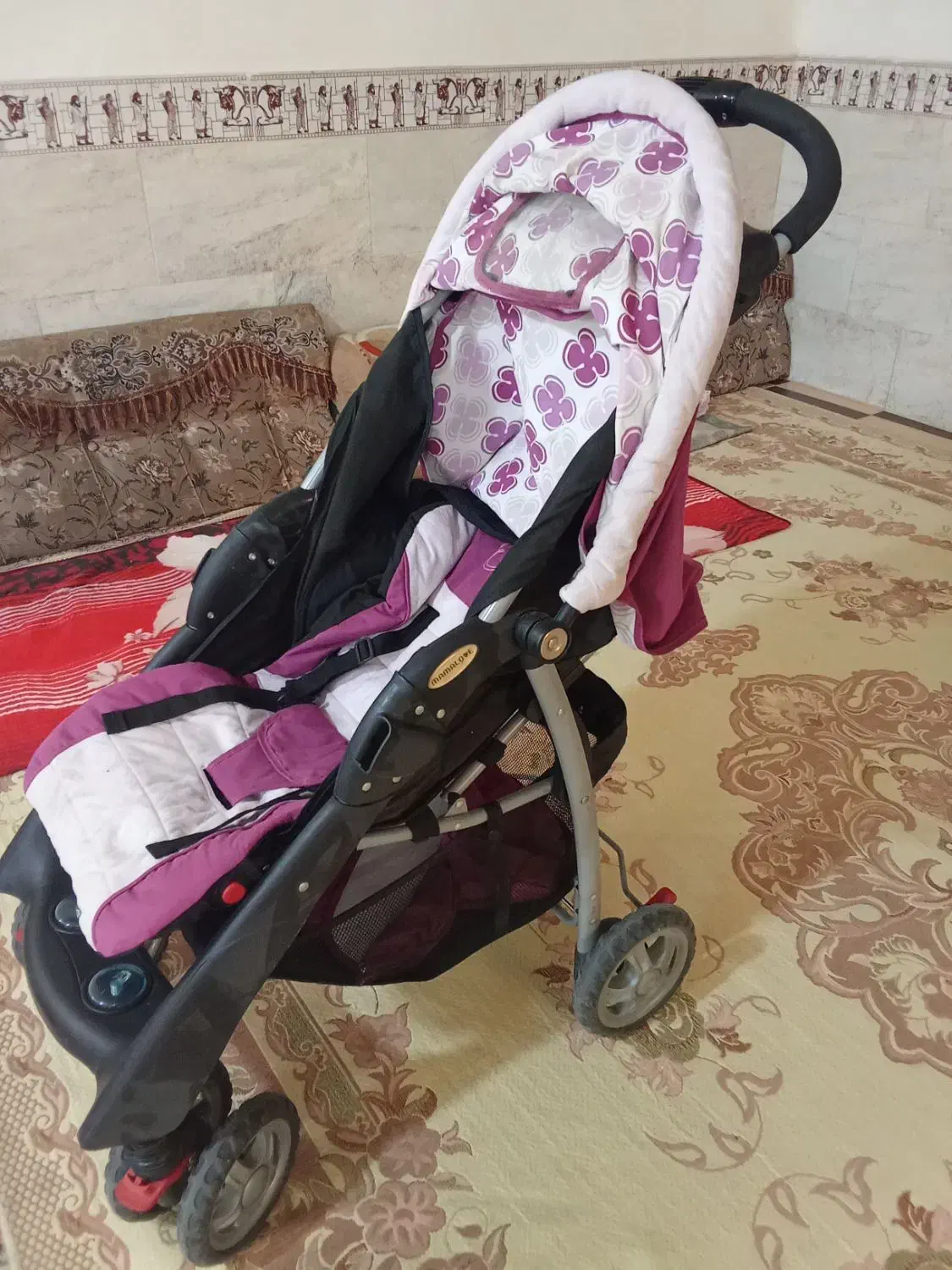 کالسکه در حد نو|کالسکه و لوازم جانبی|شیراز, میانرود|دیوار