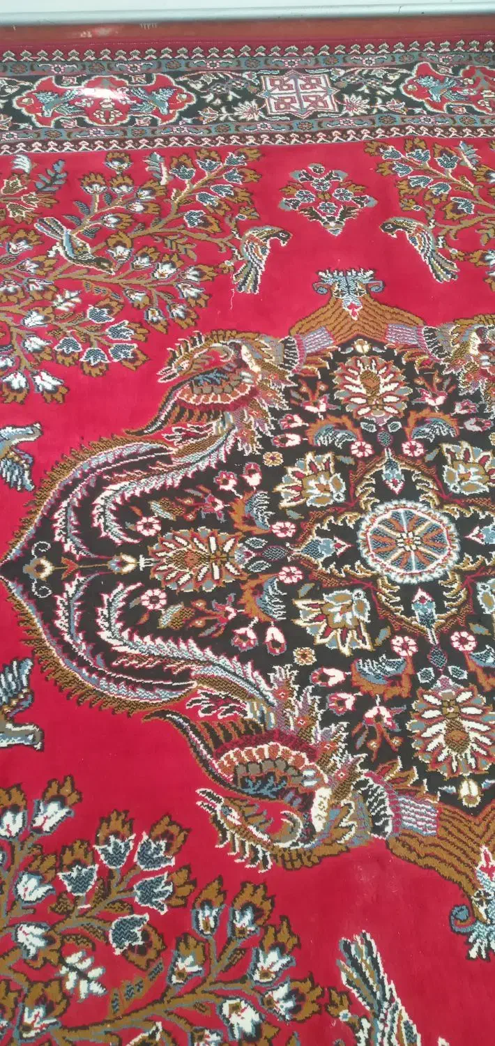 فرش ۱۲ متری|فرش|میاندوآب, |دیوار