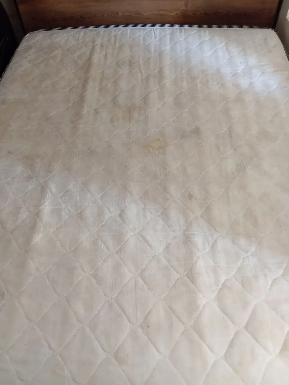 خوشخواب دونفره|تشک تختخواب|شیراز, سعدیه جنوبی|دیوار