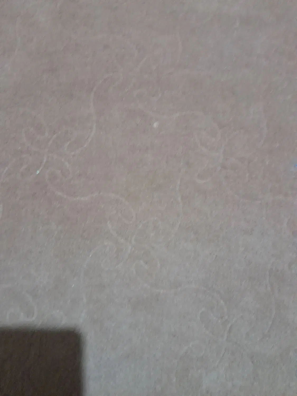 موکت کرم رنگ سالم و جنس عالی|موکت|اردبیل, |دیوار