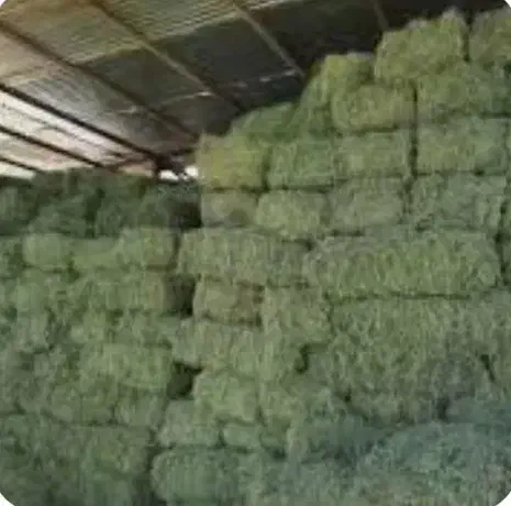 یونجه پرس درب دامداری۲۴تومن|خدمات باغبانی و درختکاری|خوی, |دیوار