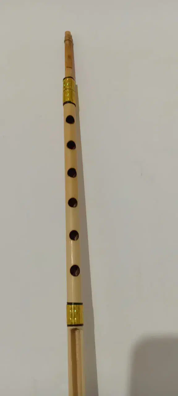 نی انبان.نی همبون|سازهای بادی|مرودشت, دولت آباد|دیوار