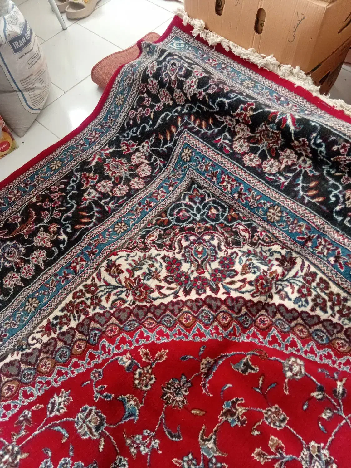 فروش فرش گل قرمز|فرش|مشهد, فتح المبین|دیوار