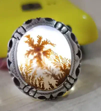 انگشتر شجر|کلکسیون اشیاء عتیقه|سقز, |دیوار