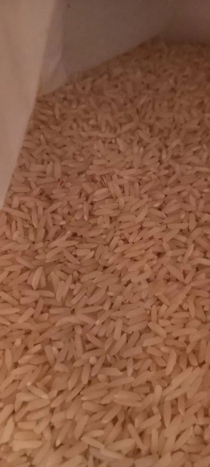 برنج هاشمی درجه ۱دوبار الک شده|خوردنی و آشامیدنی|کرج, مصباح|دیوار