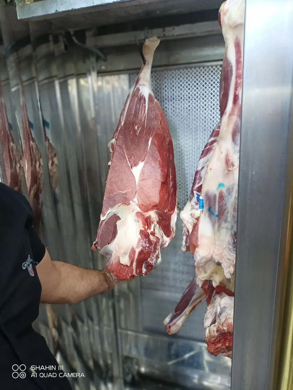 سوسیس و کالباس خونگی اِلماج|خوردنی و آشامیدنی|اندیمشک, |دیوار