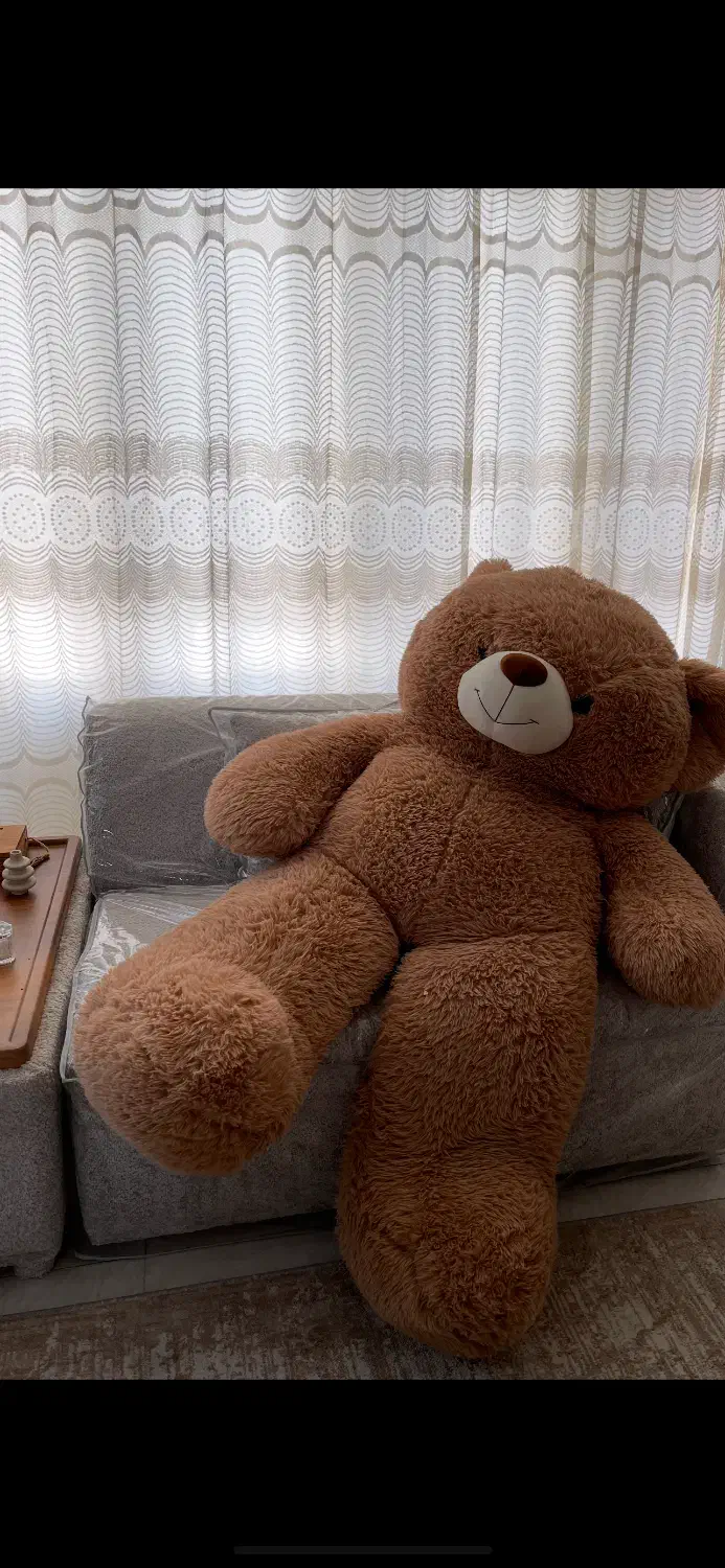 خرس عروسک|اسباب‌‌بازی|زنجان, |دیوار