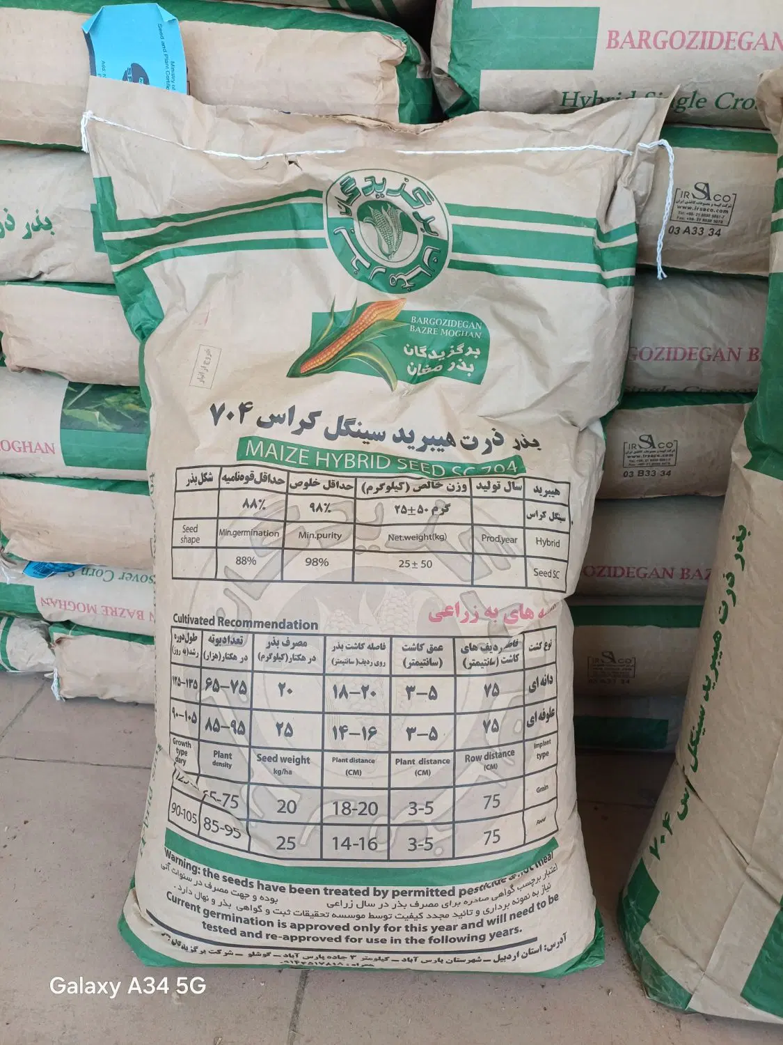 بذر ذرت|گل و گیاه طبیعی|روانسر, |دیوار