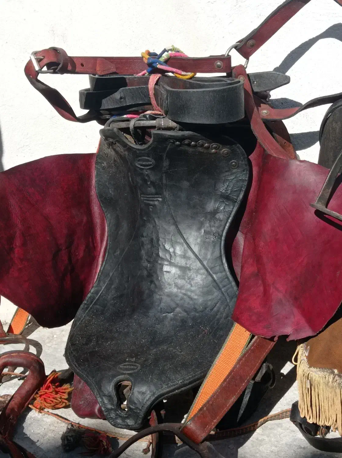 زین برنو|اسب و تجهیزات اسب‌سواری|دورود, |دیوار