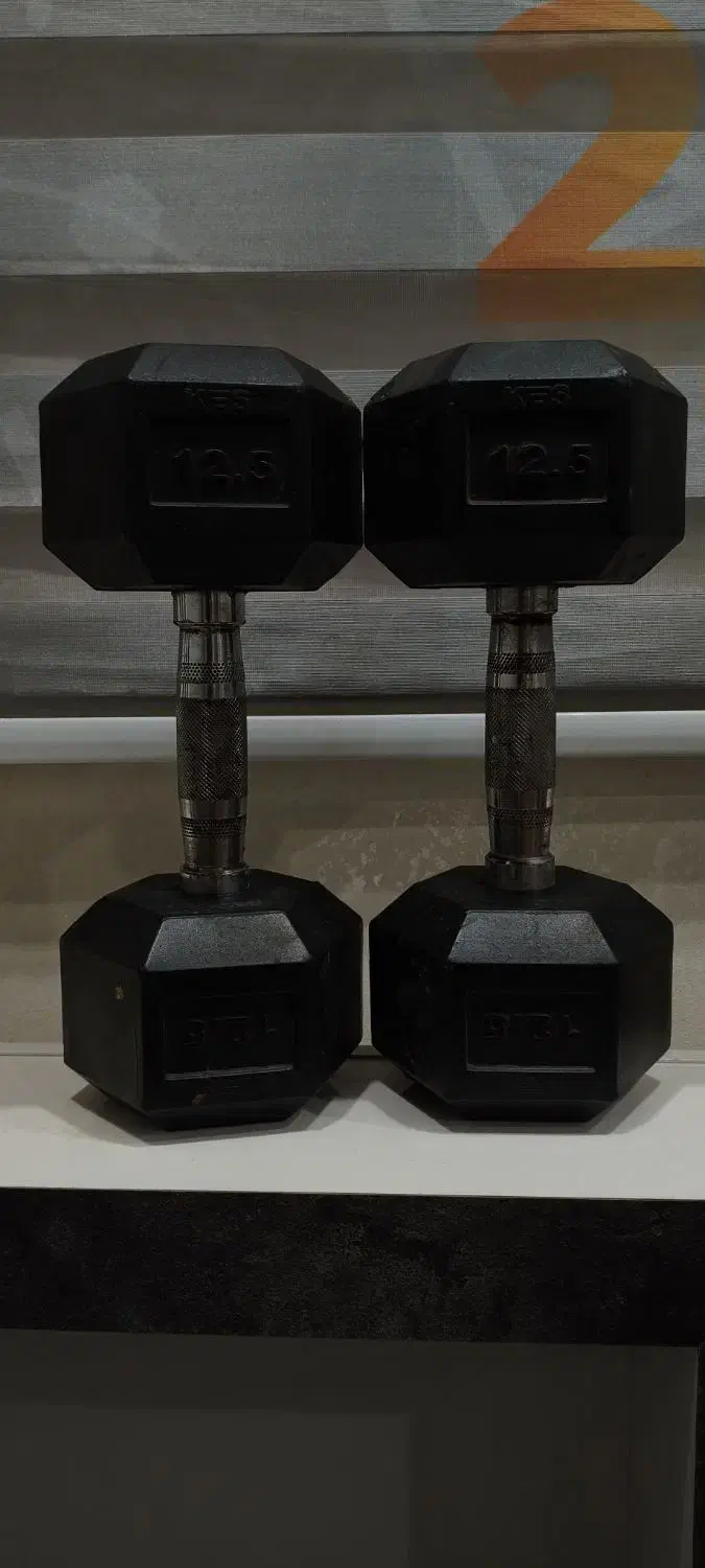 دمبل ۱۲.۵|تجهیزات ورزشی|ساوه, |دیوار