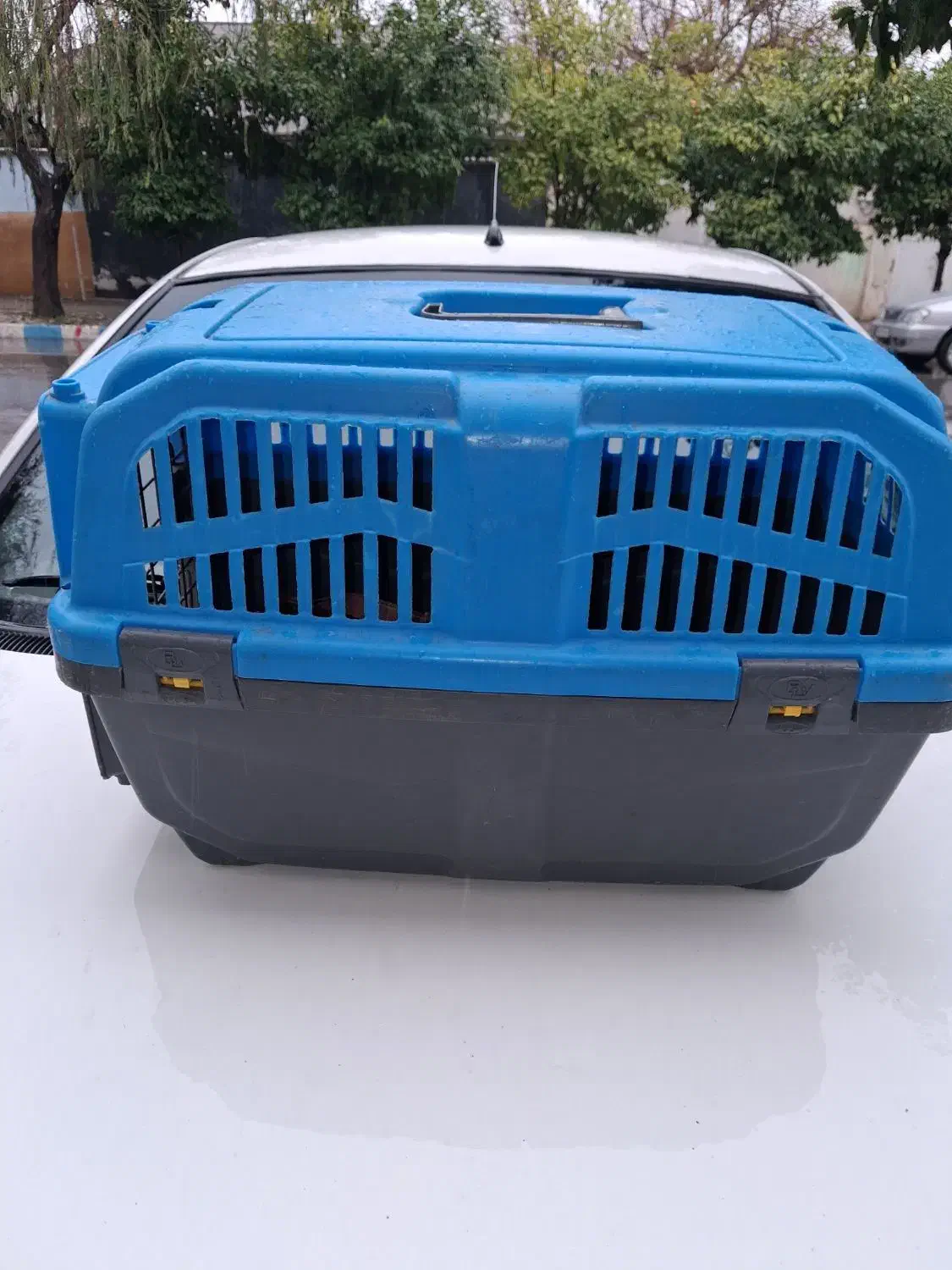 باکس حیوانات خانگی|لوازم جانبی حیوانات|بهشهر, |دیوار