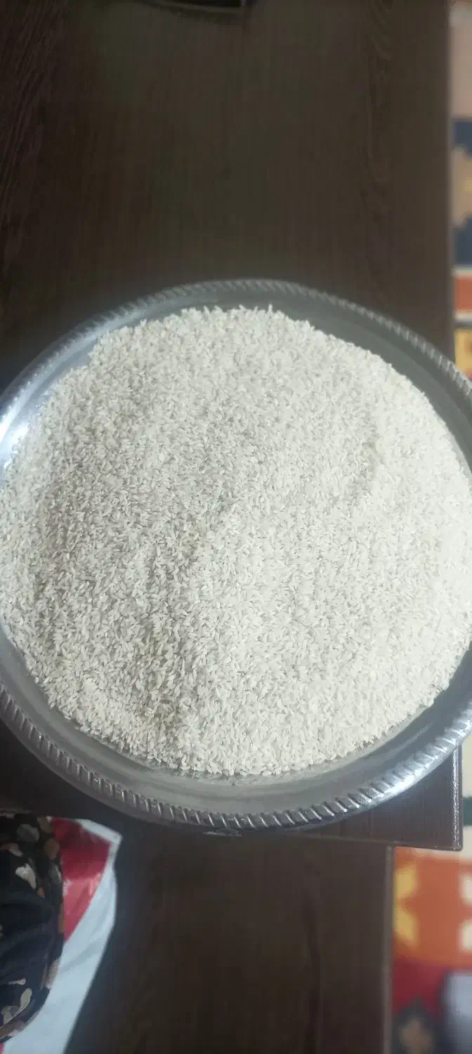 برنج چمپای درجه یک محلی|خوردنی و آشامیدنی|رامهرمز, |دیوار