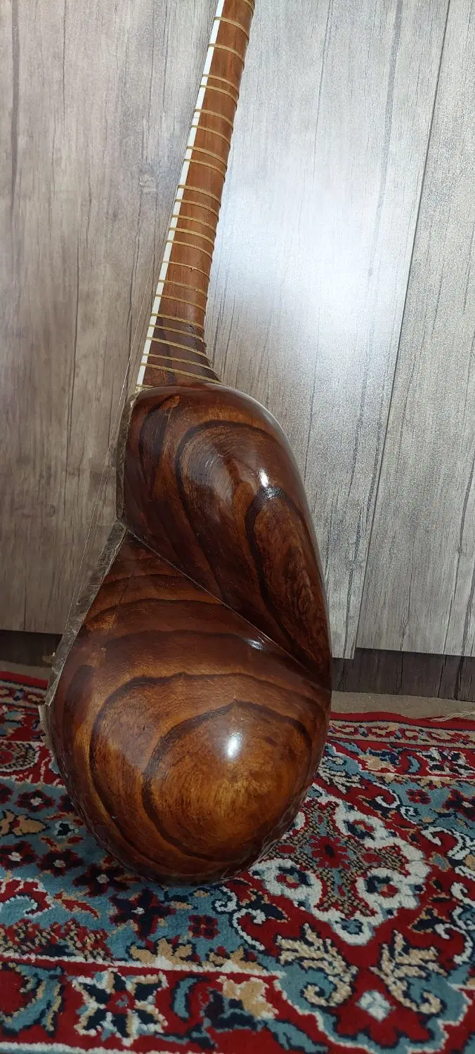 تار|سازهای سنتی|بروجن, |دیوار
