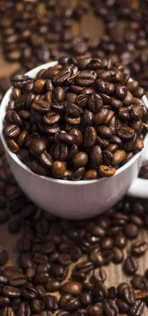 همکار خانم|استخدام خدمات فروشگاه و رستوران|مشهد, سیس‌آباد|دیوار