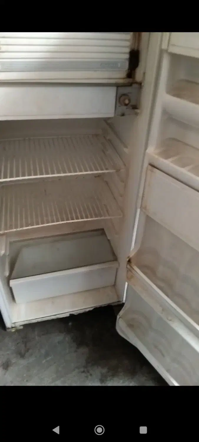 یخچال و فریزر|یخچال و فریزر|رشت, عینک|دیوار