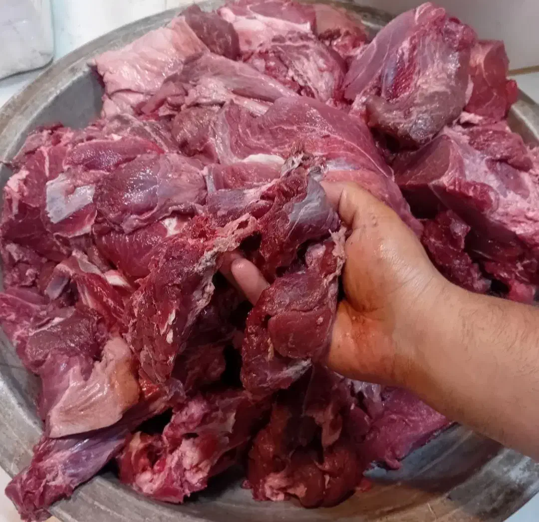 مایه کباب کوبیده مخصوص خانگی با کیفیت عالی|خوردنی و آشامیدنی|کرج, شهرک آسمان|دیوار