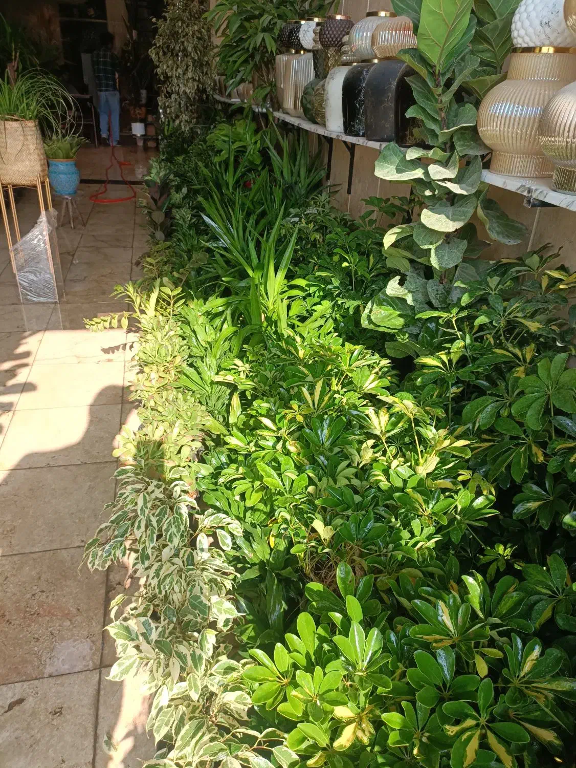 گل و گیاه ، گلدان ، تاج گل ، باکس گل درختچه|گل مصنوعی|کهریزک, |دیوار