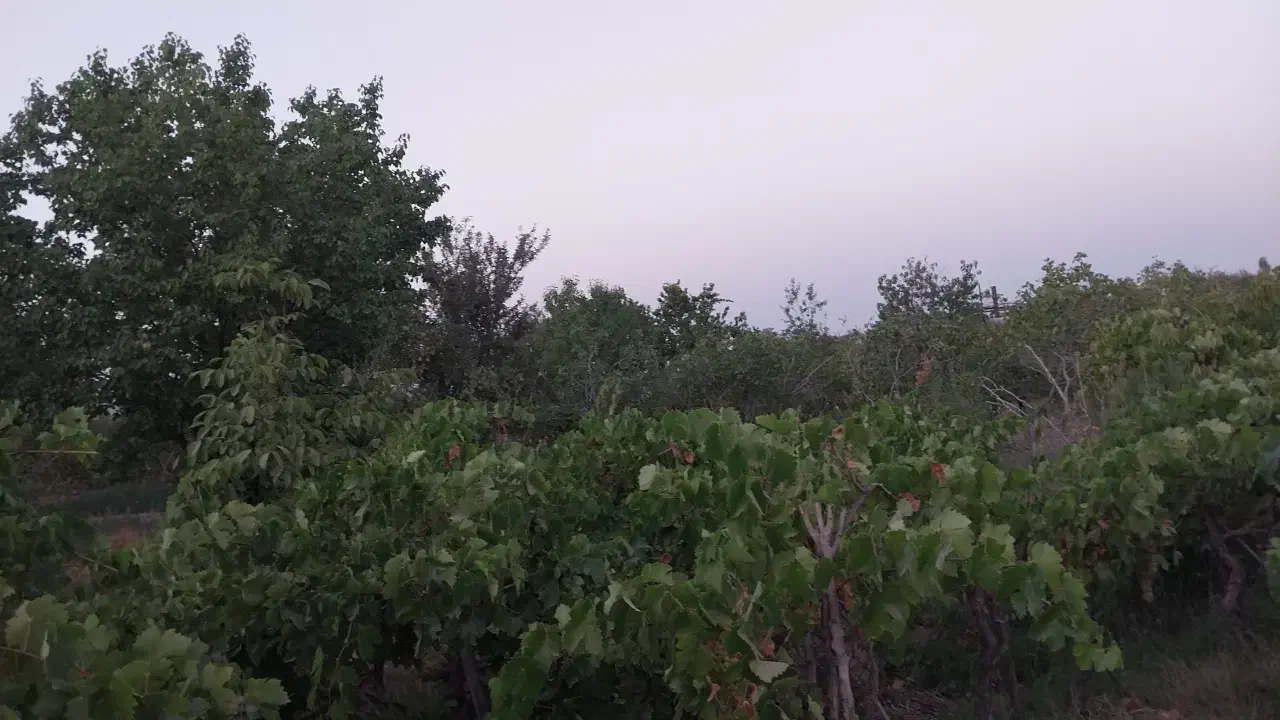 فروش منزل نیمه کاره و دامداری یکجا در چاپشلو درگز|فروش خانه و ویلا|چاپشلو, |دیوار