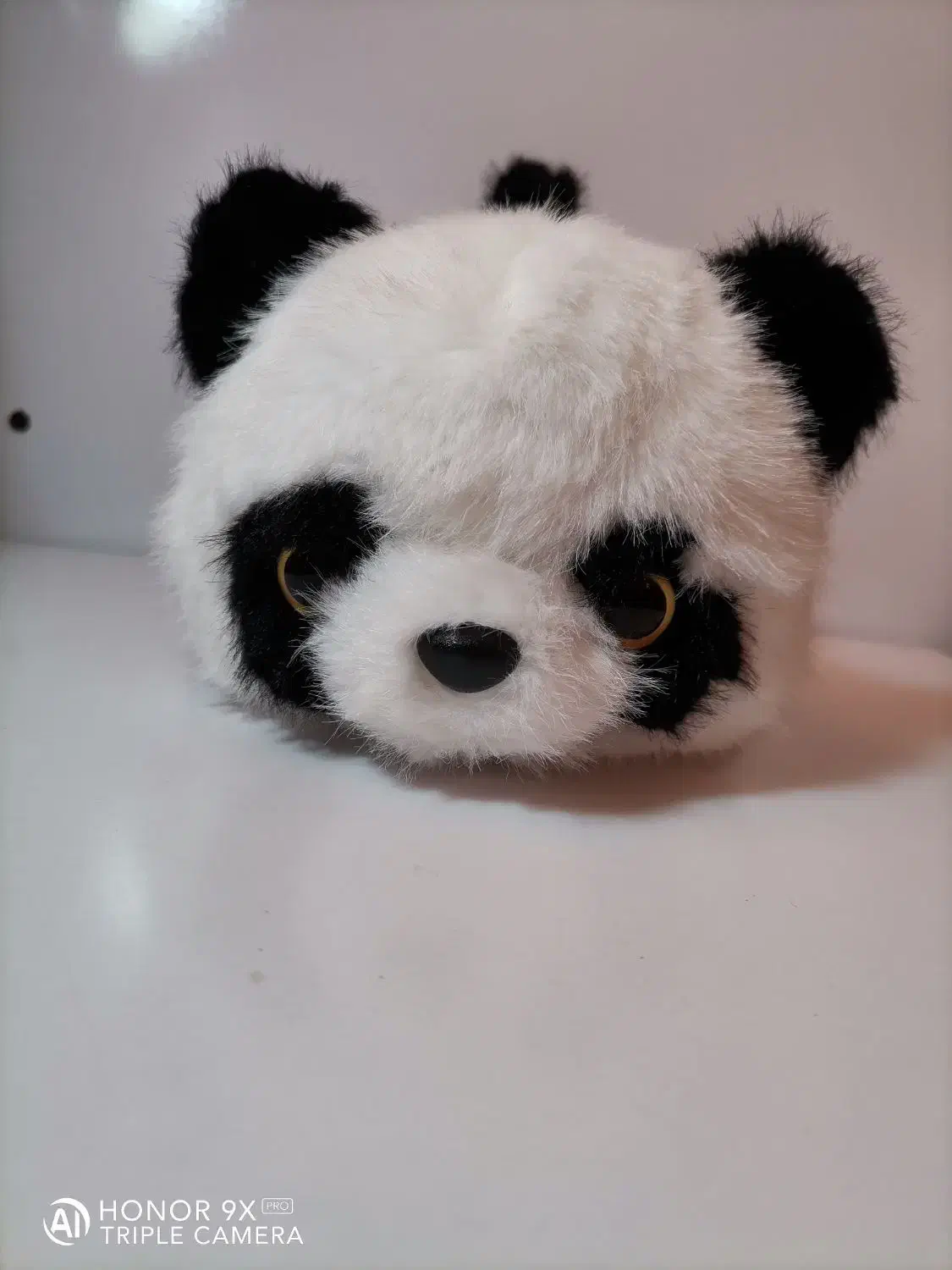 عروسک دوقلوی پاندا و راکون|اسباببازی|شیراز, شهرک مدرس|دیوار