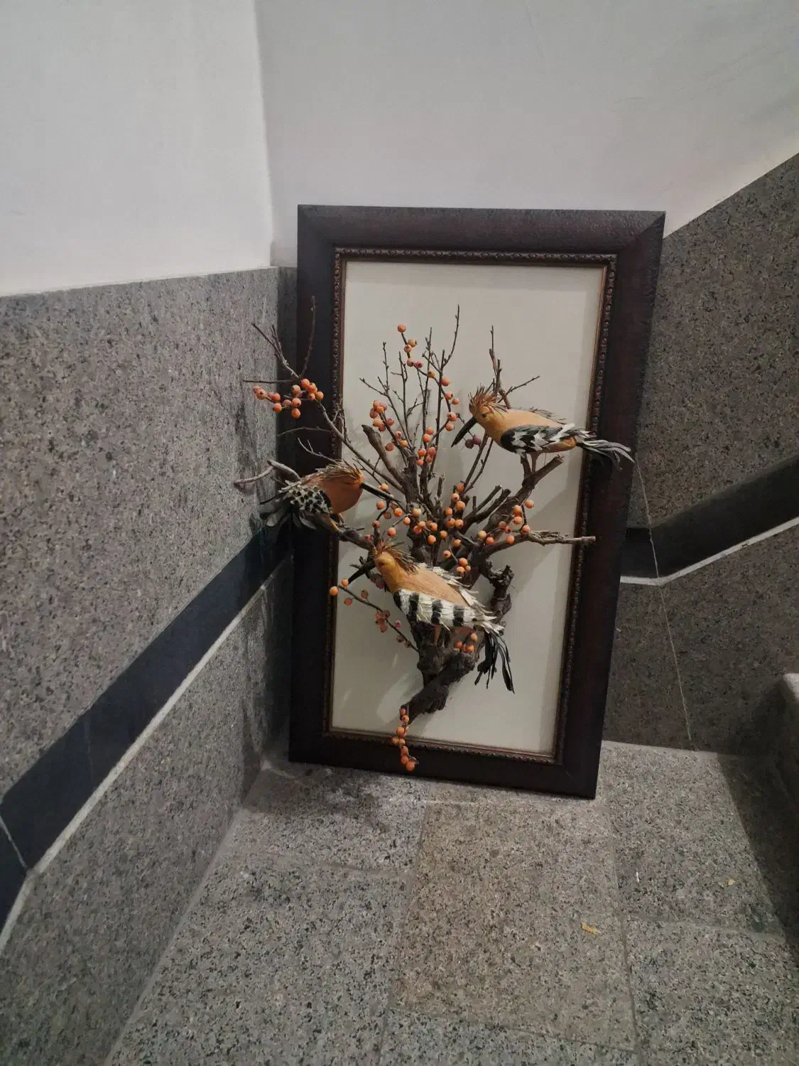 قاب زیبا|تابلو، نقاشی، عکس|شهرکرد, |دیوار